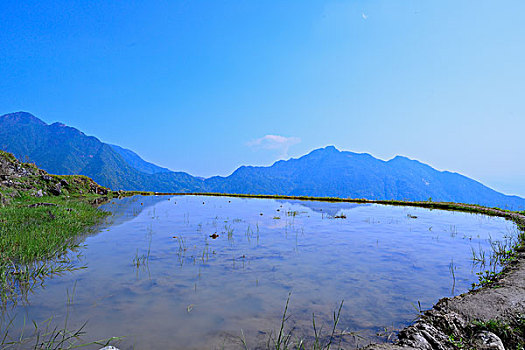 中国最美梯田,浙江丽水云和梯田