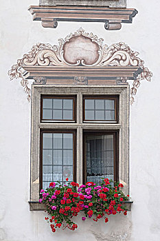 装饰,窗户,花,盒子,恩斯,奥地利