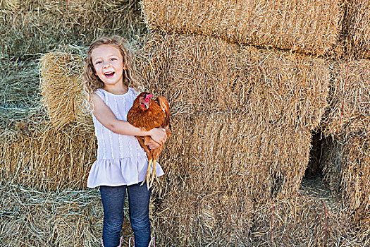 女孩,站立,干草,谷仓,拿着,鸡,手臂