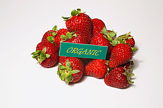 草莓,有机,标识,滑铁卢,魁北克,加拿大