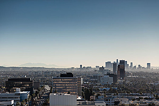 俯拍,城市,蓝天,比弗利山,加利福尼亚,美国