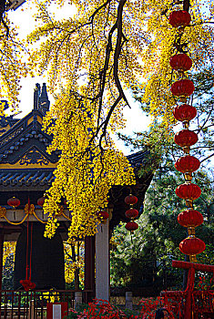 无锡锡惠公园惠山寺