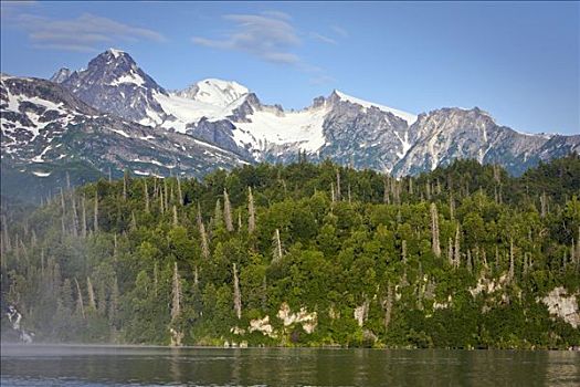 景色,山峦,山脉,夏天,阿拉斯加