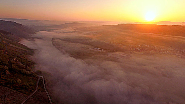晨雾,上方,摩泽尔河谷,靠近,摩泽尔,山谷,莱茵兰普法尔茨州,德国,航拍