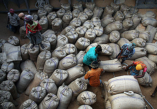 男人,卸载,袋,满,小麦,货物,拖拽,船,港口,孟加拉,二月,2009年