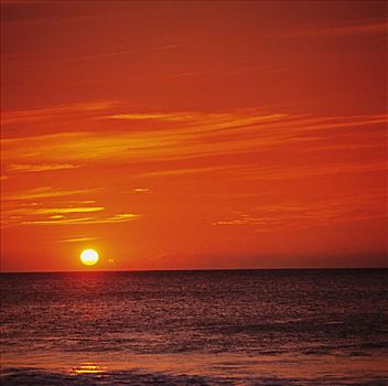橙色,日落,上方,海洋,水,地平线