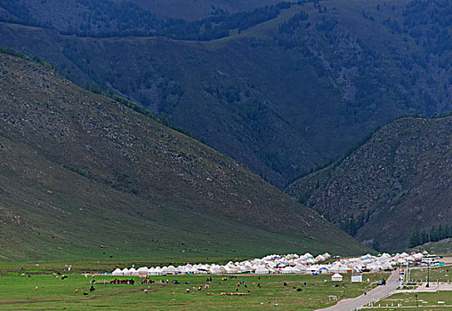 喀纳斯景区外的住宿蒙古包