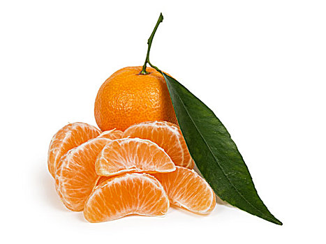 柑橘,叶子,切片,隔绝,白色背景