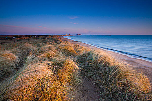 海滩,沙子,沙丘,诺森伯兰郡,英格兰