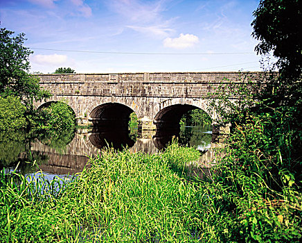 伦斯特,水道,大运河,利菲河,爱尔兰,桥,18世纪
