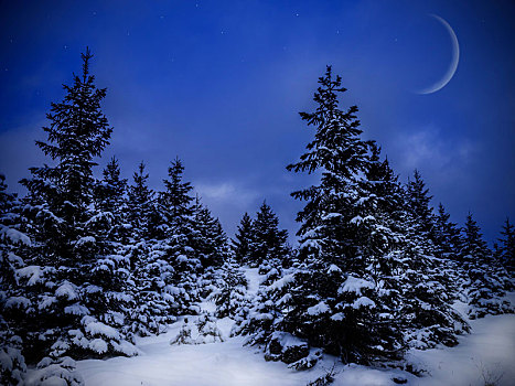 冬季风景,夜晚