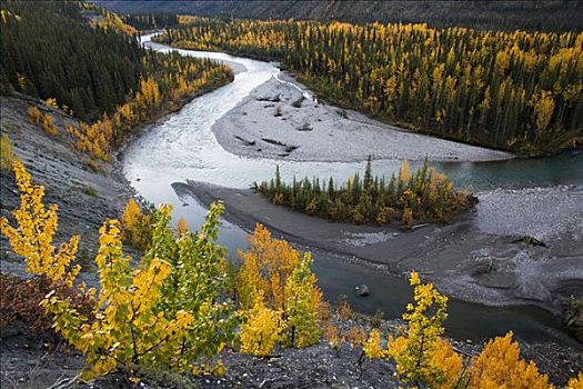 河,弯曲,北方针叶林,加拿大