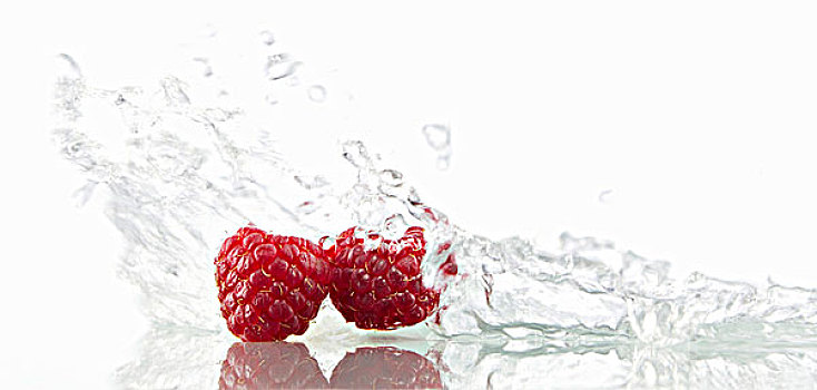 树莓,溅,水