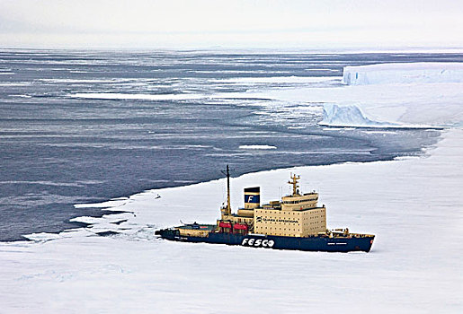 船,冰,雪丘岛,南极