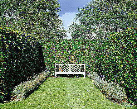 花园,特写,高,围篱,白色,长椅,座椅,草坪