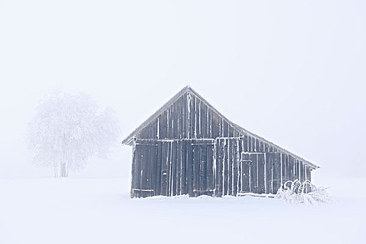 木屋,遮盖,白霜,雪,巴登符腾堡,德国,欧洲