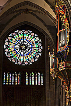 圆花窗,西部,建筑,斯特拉斯堡,大教堂,器官,前景