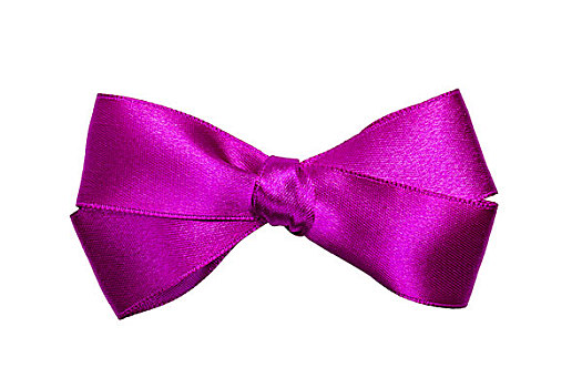 紫色,蝴蝶结,丝带,隔绝,白色背景