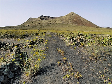 火山,兰索罗特岛