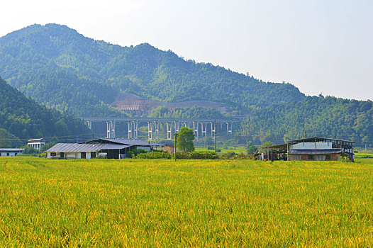 乡村美景