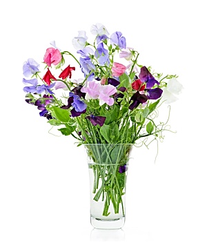 花束,香豌豆,花,花瓶