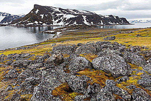 挪威,斯瓦尔巴特群岛,苔原,石头