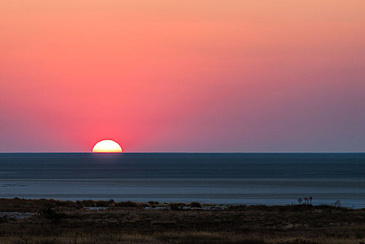 日出,上方,埃托沙国家公园,纳米比亚,非洲