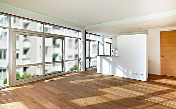 空房,客厅,白色,墙壁,实木地板