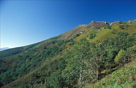 薪水,巴斯克,风景