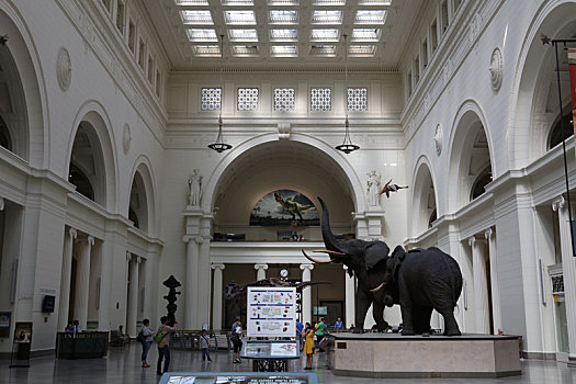 芝加哥自然历史博物馆