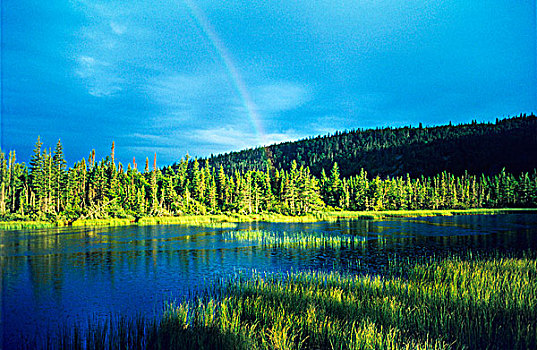 彩虹,上方,湖,国家公园,安大略省,加拿大