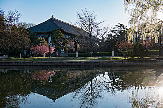 北京大学