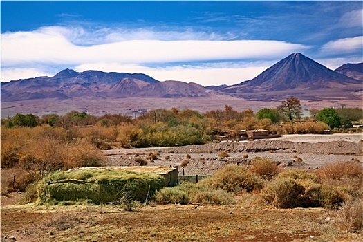 佩特罗,阿塔卡马沙漠,智利