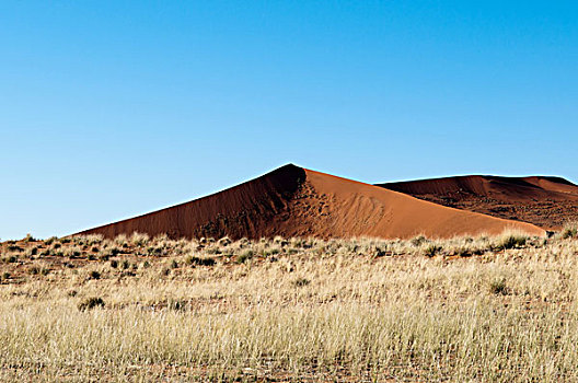 沙丘,纳米比沙漠,公园,纳米布沙漠,纳米比亚