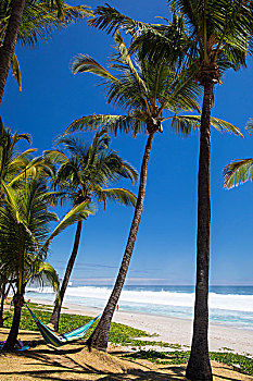 男性,游客,倚靠,海滩,吊床,印度洋,留尼汪岛