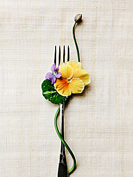 食用花卉,叉子