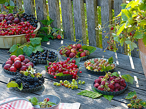 品种,浆果,小蛋糕,锡罐,黑莓,树莓,红醋栗,黑醋栗,红色,绿色,醋栗