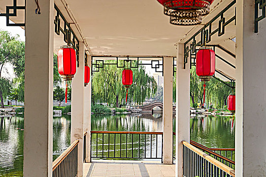 北京玉渊潭公园里的红灯笼