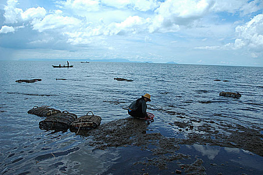 女人,洗,螃蟹,篮子,海滩,柬埔寨,新鲜,售出,右边,漂浮,十月,2007年