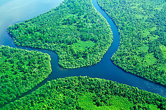 河口,三角洲,热带,植被,航拍,尼加拉瓜,中美洲