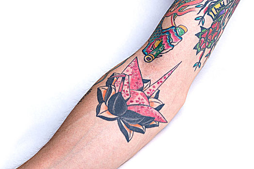 粉色,纸鹤,黑色,荷花,前臂,纹身