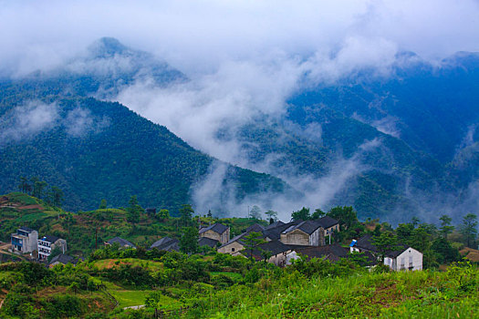 山,树林,雾气,云海,氤氲,绿色,树木,乡村