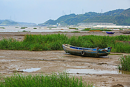 小船,渔船,水草,滩涂