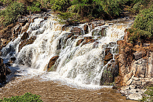 埃塞俄比亚,非洲,阿瓦什国家公园,瀑布,自然,野外