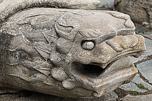 五台山龙泉寺的石刻神龟