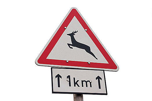 鹿,警告