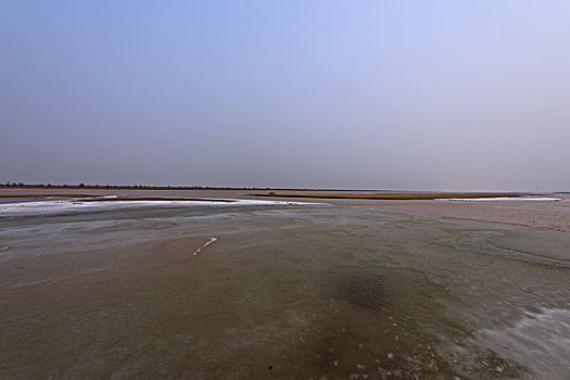 东营黄河入海口湿地