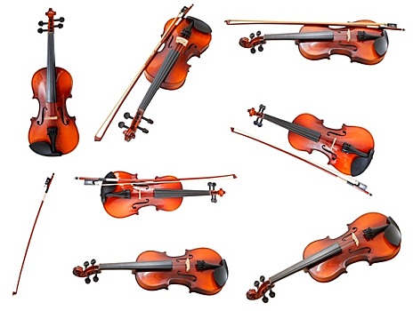 古典,现代,小提琴,法国,乐弓