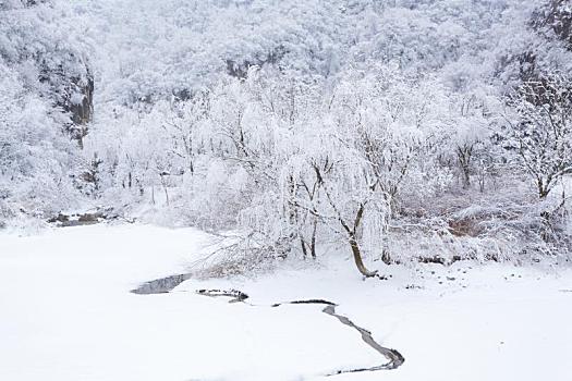 陕西秦岭翠华山雪景