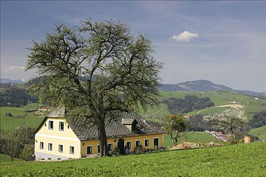 农舍,下奥地利州